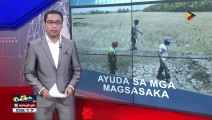 DA, Tiniyak ang sapat ng supply ng bigas ngayong El Niño