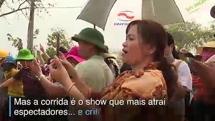 Diversão ou crueldade?