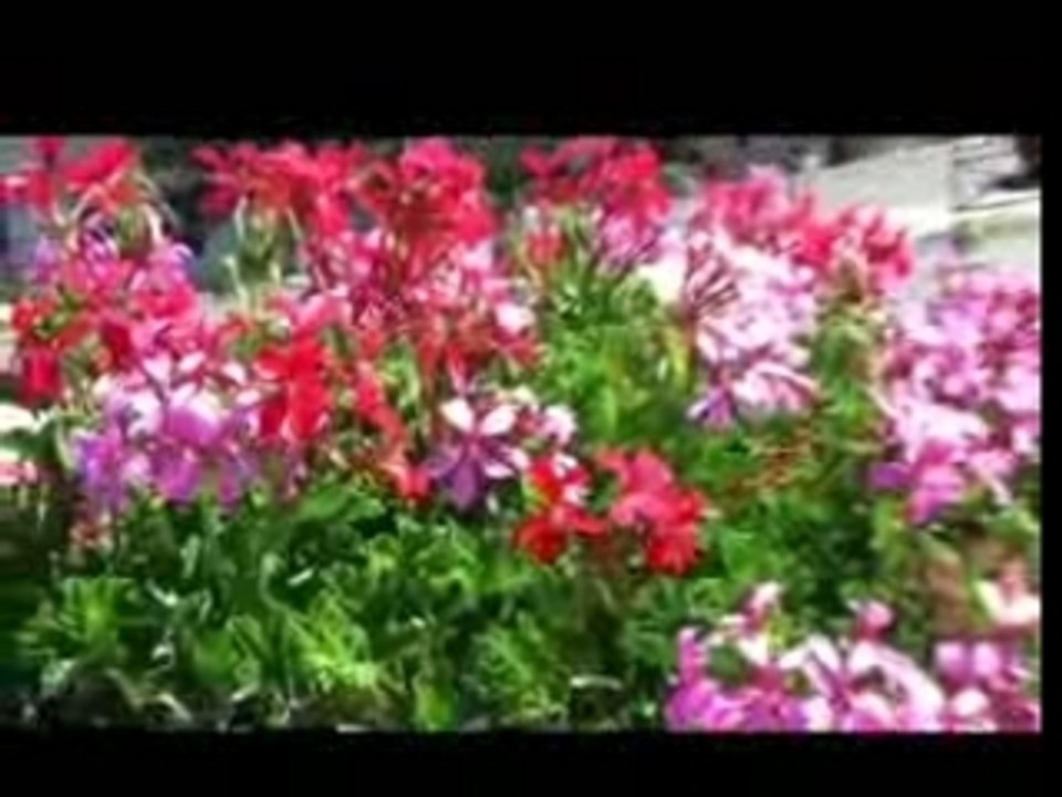 Morgon J Location de vacances Hautes-alpes Serre-poncon