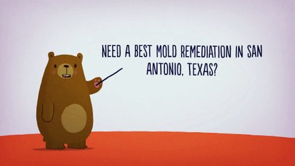 All US Mold Remediation in San Antonio, Texas