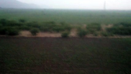 nature looks beautiful