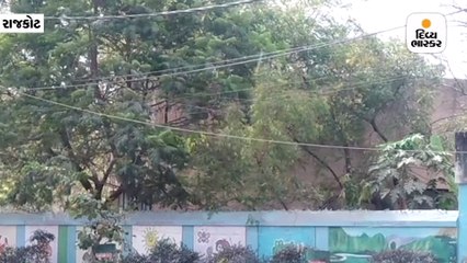 કમોસમી વરસાદ