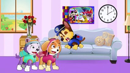 PAW PATROL Episodes English Cartoon Animation Compilation For Kids