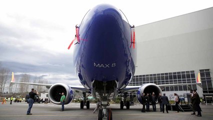 Rame-rame Larang Terbang