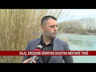 DAJÇ,EROZIONI GËRRYEN DHJETRA HEKTARË TOKË