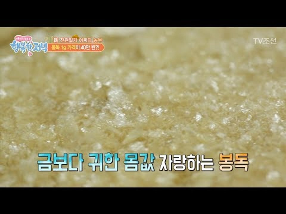 벌침으로 보석을! 하얀 보석 ‘봉독’ 만드는 법! [행복한 저녁] 48회 20170622