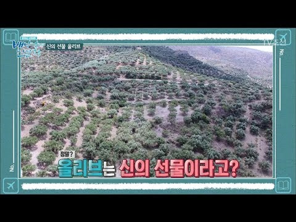척박한 땅 크레타에 주신 신의 선물 올리브! [배낭 속에 인문학] 6회 20170627