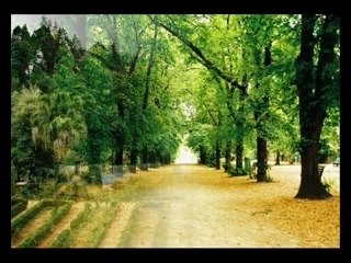 A cidade dos estudantes - Coimbra.