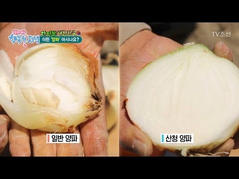 까도 까도 계속 나오는 ‘산청 양파’ [행복한 저녁] 50회 20170626
