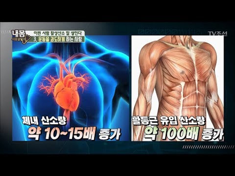 운동을 열심히 해도 활성산소가 잘 쌓인다? [내 몸 사용설명서] 159회 20170630