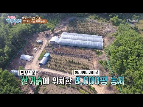 산기슭에서 특수작물을 재배하는 삐삐농부 [행복한 저녁] 51회 20170627