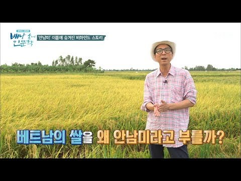베트남 쌀 ‘안남미’에 숨겨진 슬픈 이야기는? [배낭 속에 인문학] 8회 20170711