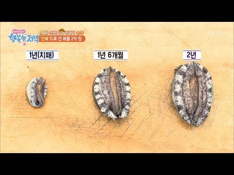 전복을 키워 연 매출 2억 원! [행복한 저녁] 53회 20170629