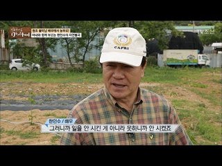 꽃미남 배우에서 농부로! 한인수의 텃밭일기 [마이웨이] 52회 20170629