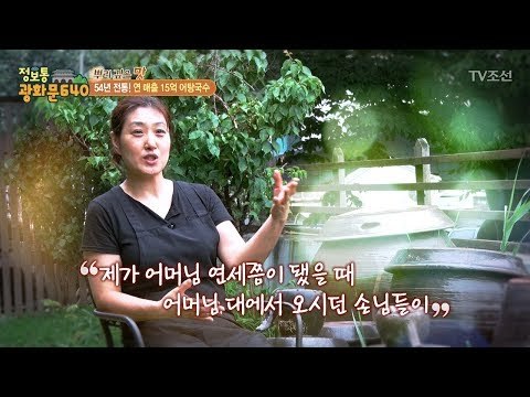 연매출 15억의 비결은? [정보통 광화문 640] 5회 20170707