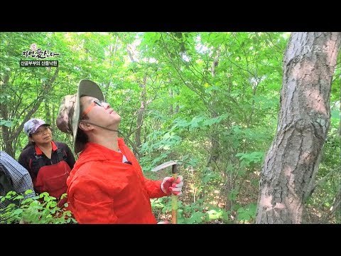 자연인을 위해 코리아헌터가 된 지상렬! [자연愛산다] 12회 20170704