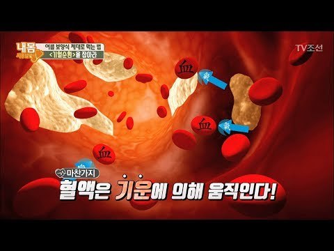 보양식 제대로 먹으려면 기혈순환을 잡아라! [내 몸 사용설명서] 161회 20170714