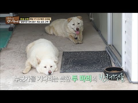 잠시 집을 비운 성일가. 주인 없는 그 곳은? [마이웨이] 53회 20170706