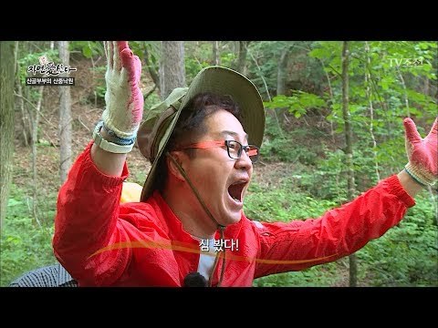 또 산삼을 찾아낸 지상렬? 뭔가 수상하다 [자연愛산다] 12회 20170704