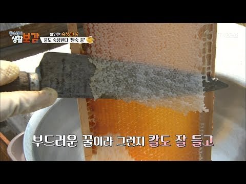 이곳에서만 볼 수 있는 ‘비밀의 꿀’ [황수경의 생활보감] 13회 20170702