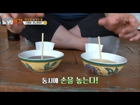 완숙 꿀의 위엄! 일반 꿀은 비교도 안 돼! [황수경의 생활보감] 13회 20170702