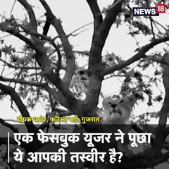 #HumanStory: ऐसी होती है जंगल की ज़िंदगी, कहानी फॉरेस्ट गार्ड की, जिसकी तस्वीरें पीएम मोदी को पसंद हैं