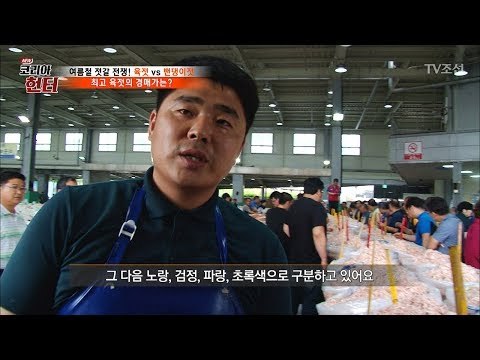 경매 전 감별에 들어간 새우 젓! [뉴 코리아 헌터] 58회 20170710