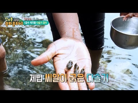 1급수 계곡물에서 다슬기를 잡아라! [정보통 광화문 640] 10회 20170714