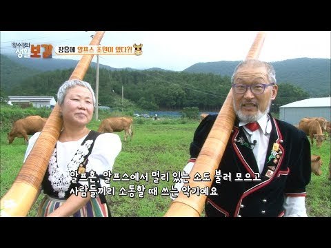 장흥에 아름다운 알프스 초원이 있다?! [황수경의 생활보감] 15회 20170715