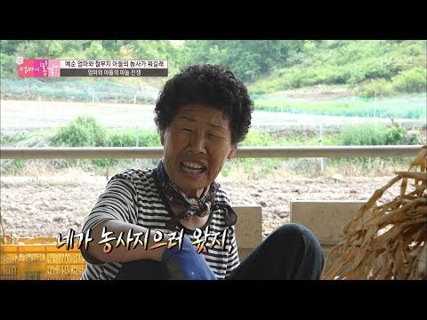 엄마와 아들의 계속되는 신경전! [엄마의 봄날] 97회 20170716