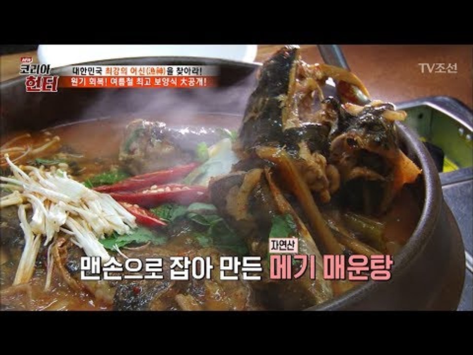 맨손으로 잡아 만든 자연산 ‘메기 매운탕’ [뉴 코리아 헌터] 59회 20170717