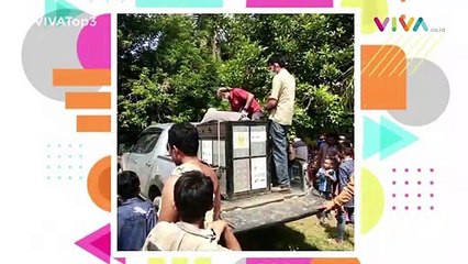 Situs Majapahit, Teroris Sibolga & Orangutan Ditembak