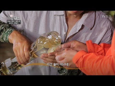 20년 된 산삼주! 그 맛은? [자연愛산다] 14회 20170718