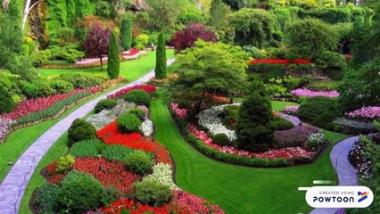 San Diego landscape designer