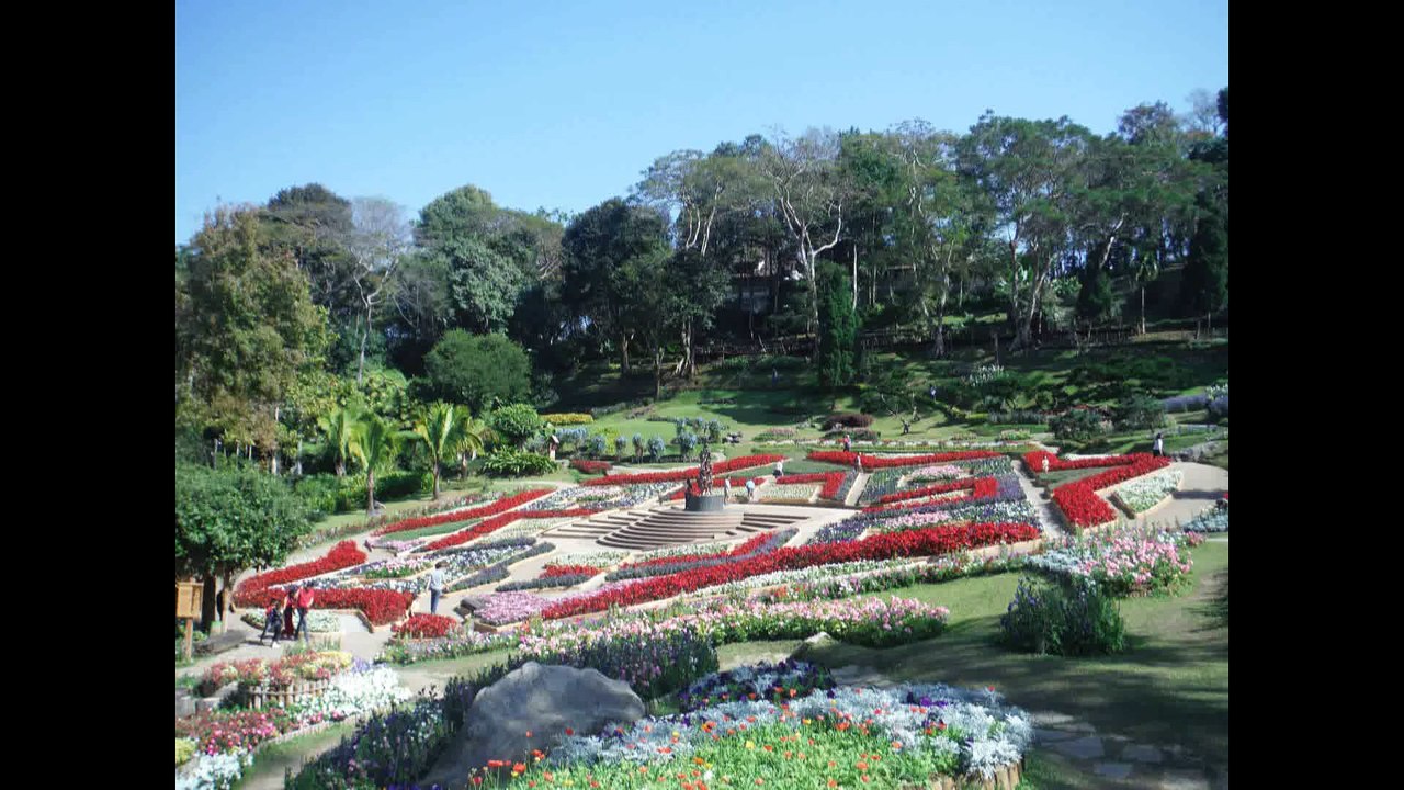 doi toung2