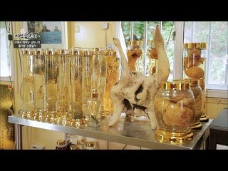 애주가 상렬의 시선을 사로잡은 수십 병의 담금주! [자연愛산다] 14회 20170718