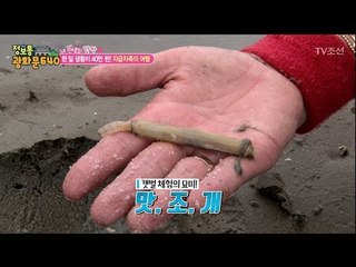 한 달 생활비 40만 원? 자급자족 부부! [정보통 광화문 640] 20회 20170728