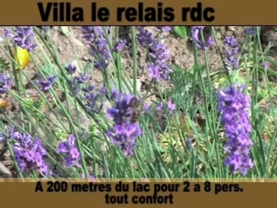 Relais location appartement savines