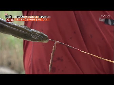 대나무 낚싯대로 장어를 잡는 헌터! [뉴 코리아 헌터] 59회 20170717