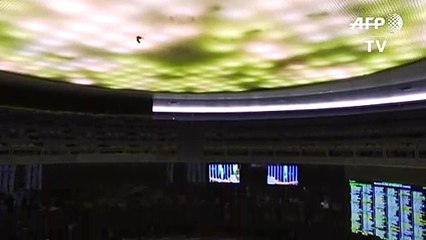 ‘Qual foi a razão da morte da Marielle?’