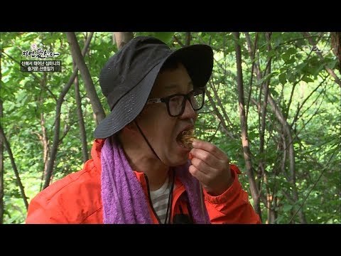 또! 산삼을 한 번에 꿀꺽하는 지상렬! [자연愛산다] 14회 20170718
