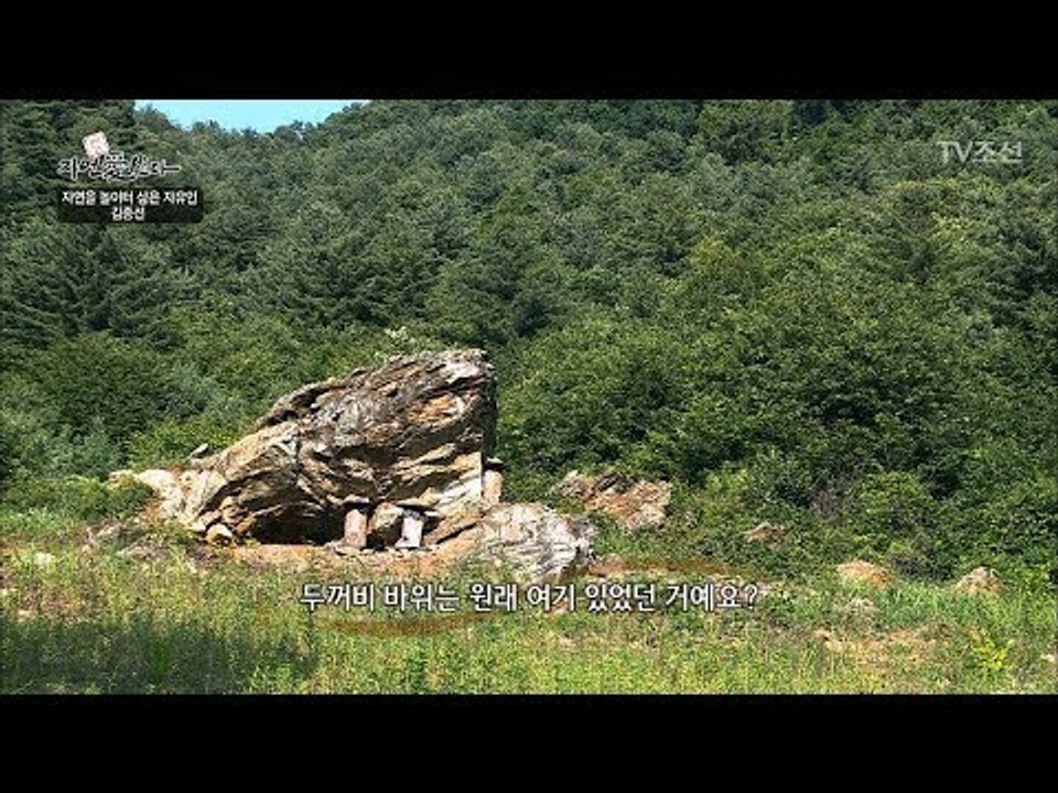 자연인 집 앞에 우뚝 선 두꺼비 바위! [자연愛산다] 15회 20170725