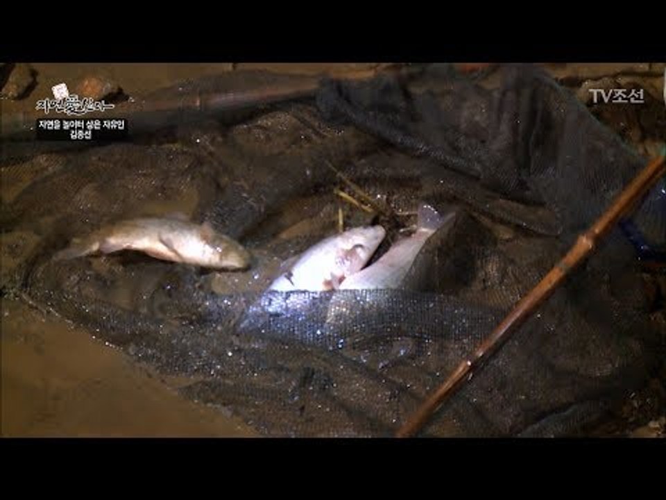 자연인만의 낚시터! 바로 이곳이 물반 고기반! [자연愛산다] 15회 20170725