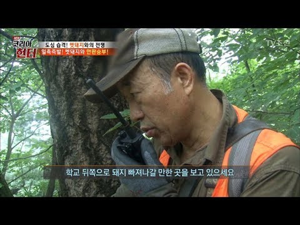전쟁 시작! 멧돼지의 잠자리 발견! [뉴 코리아 헌터] 62회 20170807