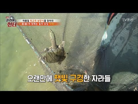 힘의 상징! 자라를 잡아라! [뉴 코리아 헌터] 60회 20170724