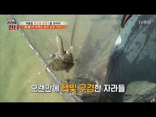 힘의 상징! 자라를 잡아라! [뉴 코리아 헌터] 60회 20170724