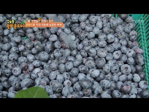 굼벵이로 블루베리까지? 귀농 성공 비결! [정보통 광화문 640] 19회 20170727