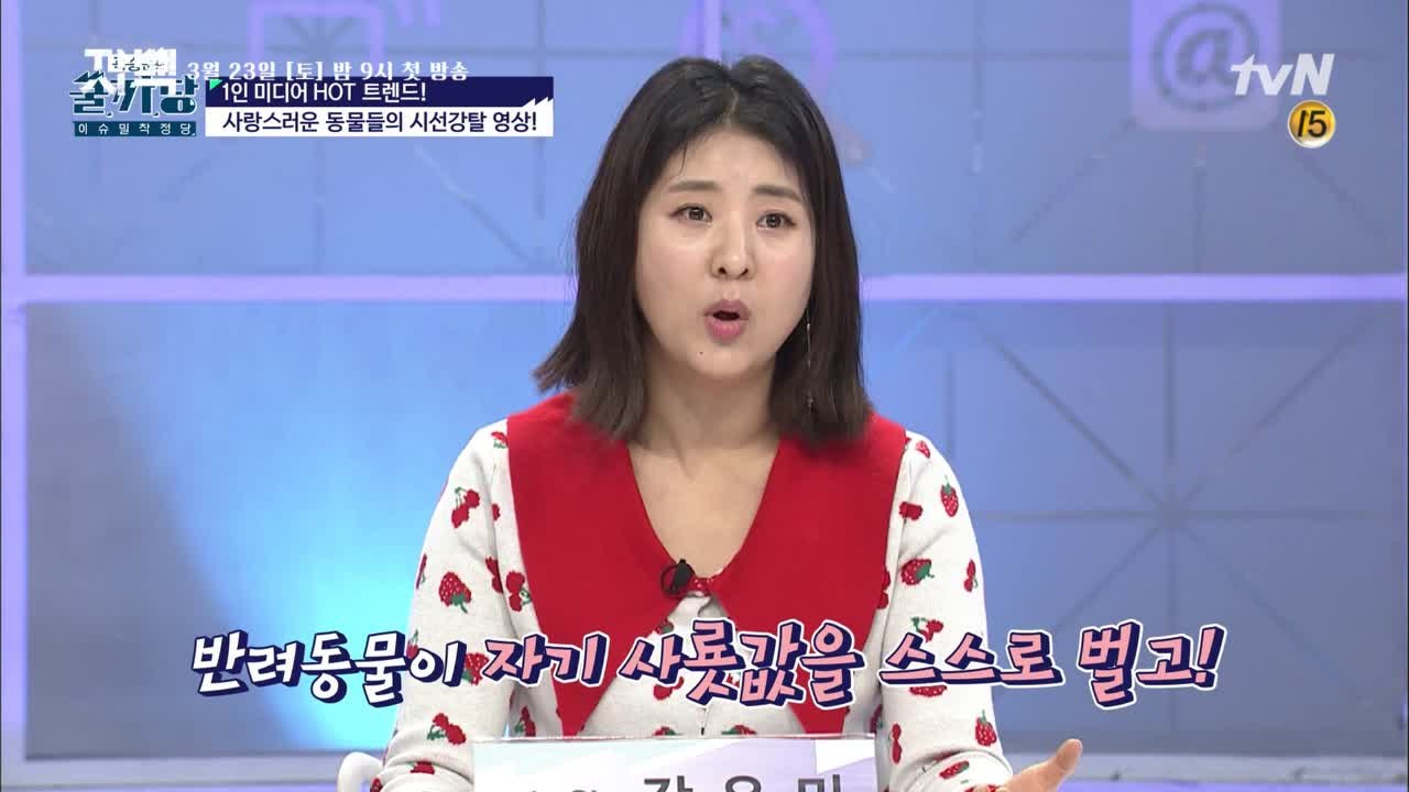 내 사료 값은 내가 번다! 인기 절정 반려동물 채널