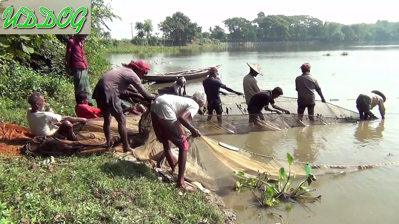 Net Fishing in A Baour HD