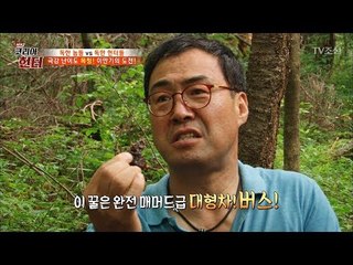 황금의 꿀, 목청의 환상의 맛! [뉴 코리아 헌터] 61회 20170731